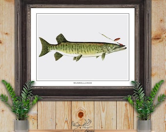 Muskellunge Print - Muskie Fisherman Gift - Pike Angler Gift - Musky Fish Poster - Rustic Fishing Wall Art - Vintage Fishing Decor