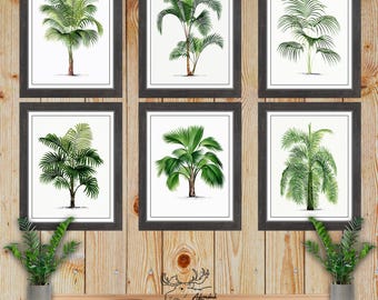 Palm Tree Print Set of 6 - Tropical Wall Art - Palm Tree Posters - Coastal Wall Decor - Beach House Art