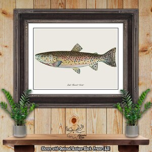 Red Throat Trout Print - Trout Fisherman Gift - Angler Gift - Red Throat Trout Poster - Trout Fishing Wall Art - Rustic Fishing Wall Decor