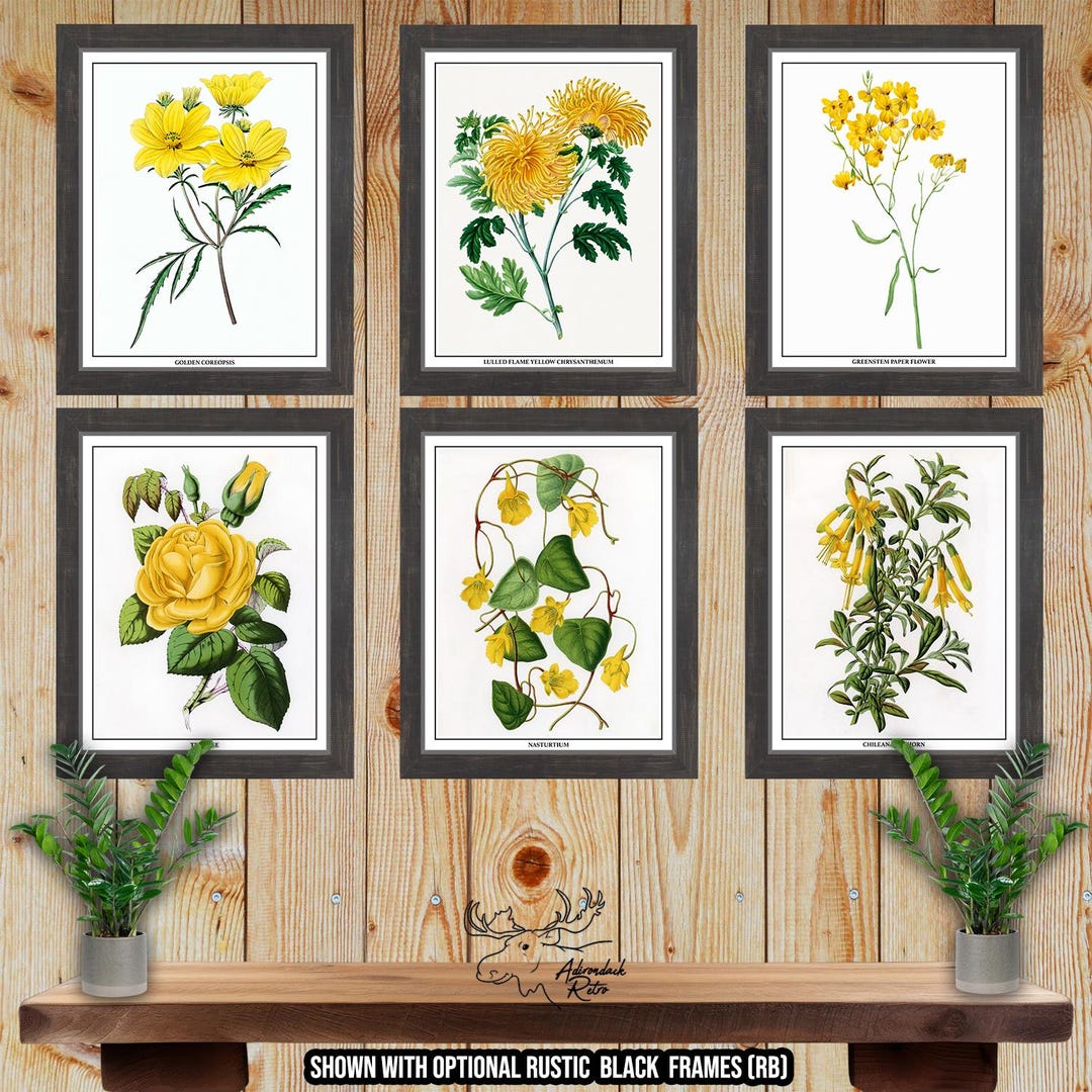 Yellow Botanical Print Set of 6 - Yellow Floral Wall Art - Yellow ...