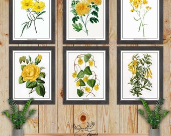 Yellow Botanical Print Set of 6 - Yellow Floral Wall Art - Yellow Flower Prints - Kitchen Wall Decor - Florist Gift - Gardener Gift