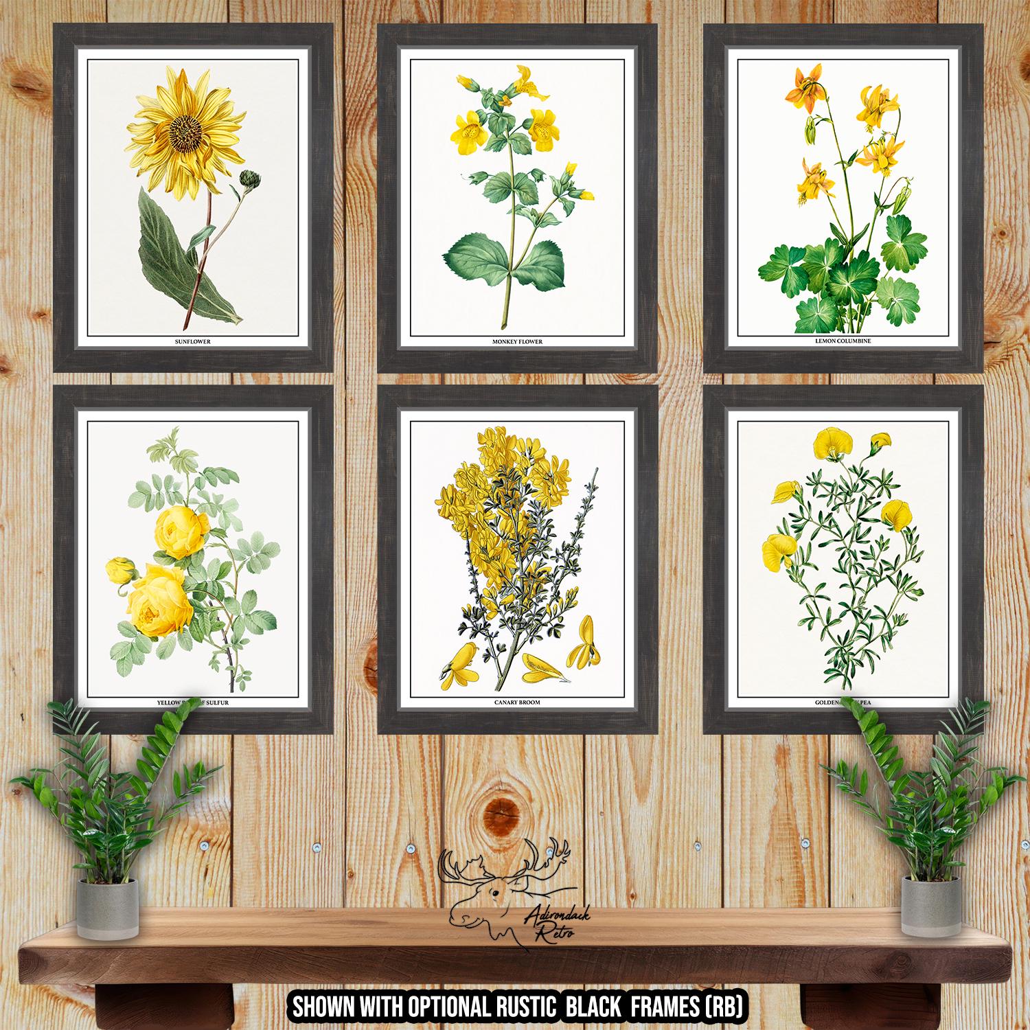 Yellow Botanical Prints - Yellow Floral Wall Art - Set of 6 Yellow
