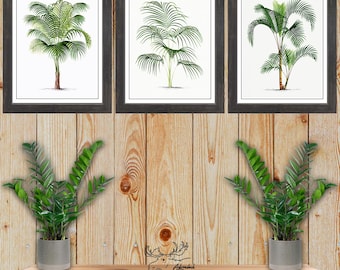 Palm Tree Print Set of 3 - Tropical Wall Art - Palm Tree Posters - Coastal Wall Decor - Beach House Art