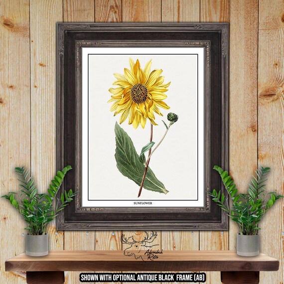 Yellow Botanical Prints - Yellow Floral Wall Art - Set of 6 Yellow