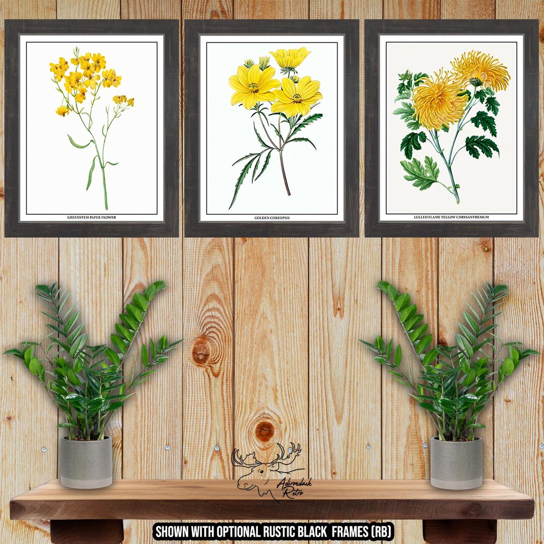 Yellow Flower Print Set of 3 - Yellow Botanical Wall Art - Yellow ...