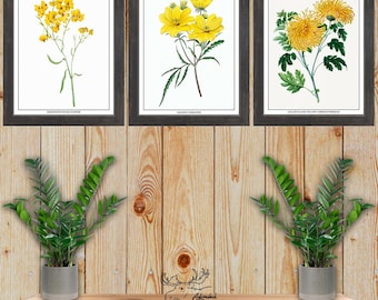 Yellow Flower Print Set of 3 - Yellow Botanical Wall Art - Yellow Floral Posters - Florist Shop Decor - Kitchen Wall Art - Gardener Gift