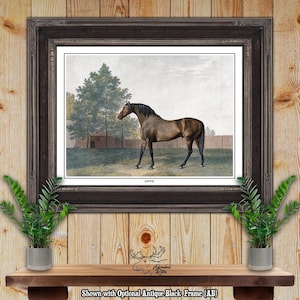 Vintage Horse Print - Anvil Horse Illustration - George Stubbs Wall Art - Vintage Horse Print - Horse Portrait Print - Horse Poster Art
