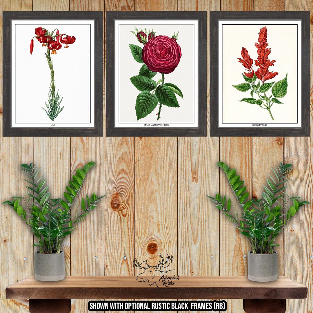 Red Botanical Prints - Red Floral Wall Art -group of 3 Red Flower ...