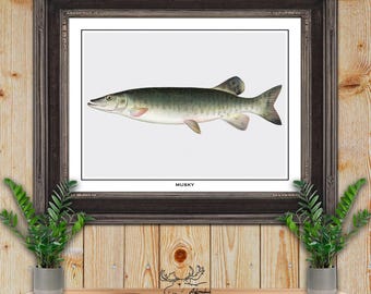 Musky Print - Muskie Fisherman Gift - Pike Angler Gift - Muskellunge Fish Poster - Rustic Fishing Wall Art - Vintage Fishing Decor