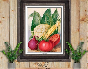 Vegetable Print - Vegetables Illustration - Country Kitchen Wall Art - Farmhouse Wall Decor - Restaurant Decor - Foodie Gift - Groceries Art