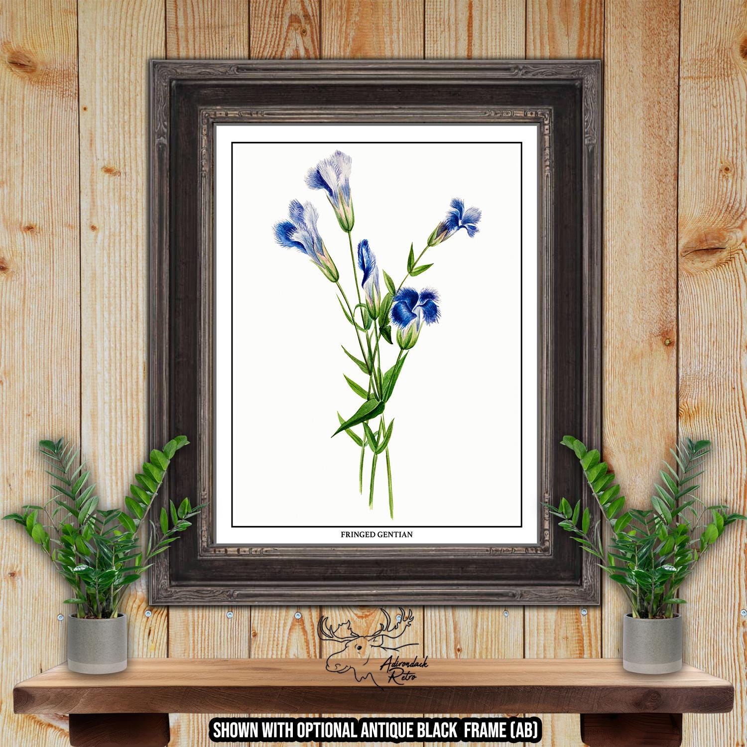 Blue Botanical Prints - Blue Floral Wall Art - Set of 6 Blue Flower ...