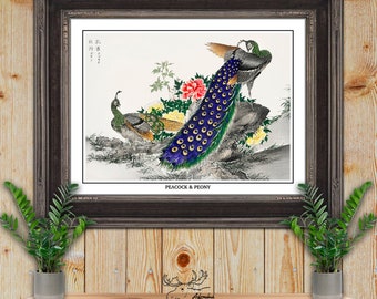 Peacock And Peony by Numata Kashu Giclee Fine Art Bird Print - Japanese Bird Illustration - Bird Lover Gift - Birder Gift - Botanical Print