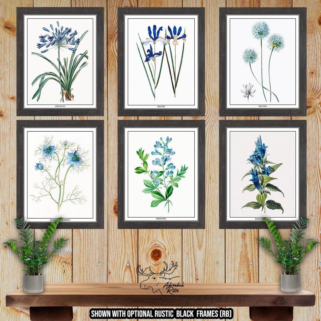 Blue Botanical Print Set of 6 - Blue Floral Wall Art - Blue Flower ...