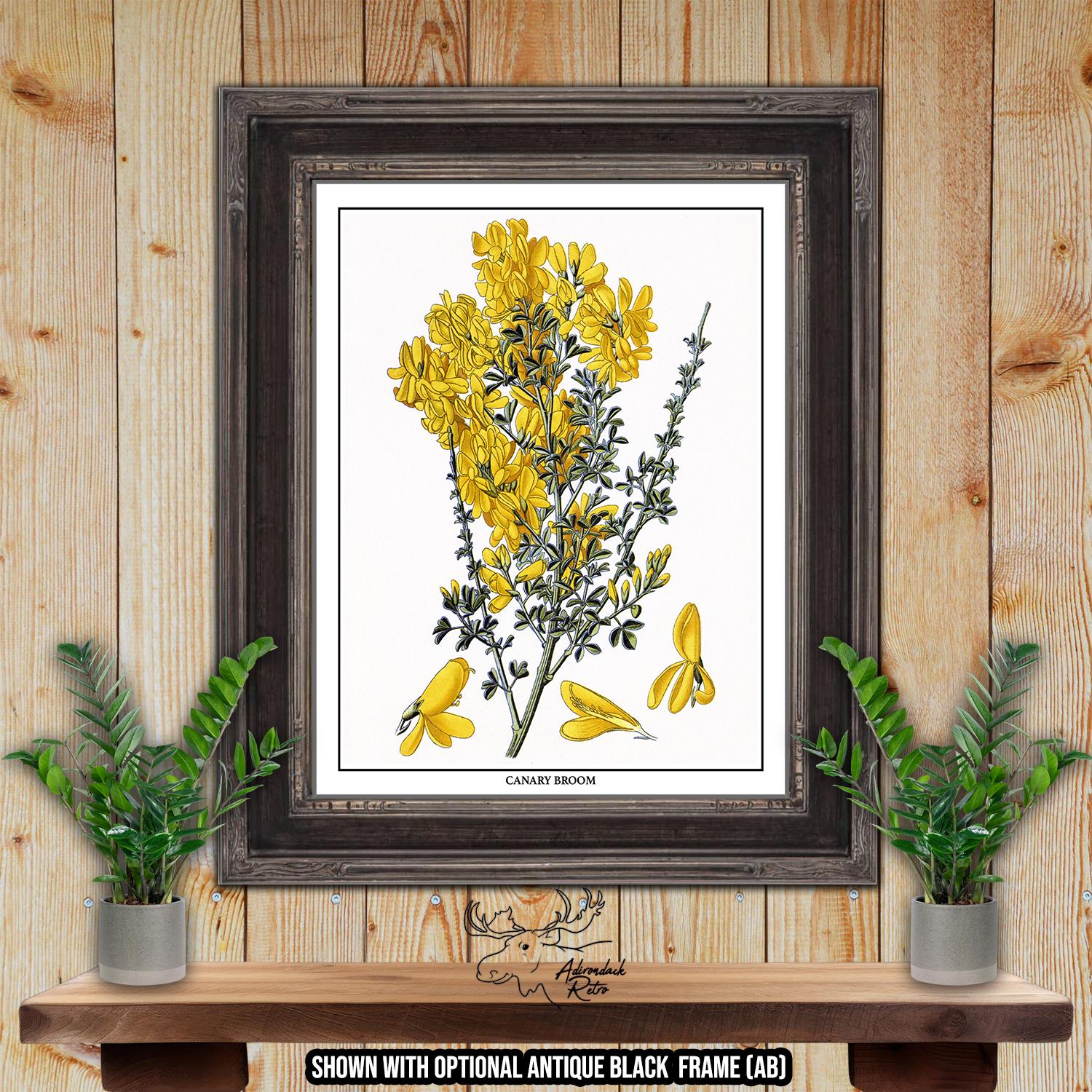 Yellow Botanical Prints - Yellow Floral Wall Art - Set of 6 Yellow