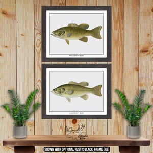 Bass Art Print Set van 2 - Bass Fisherman Gift - Visser cadeau - Largemouth Bass Poster - Rustic Bass Fishing Wall Art - Smallmouth Bass Print