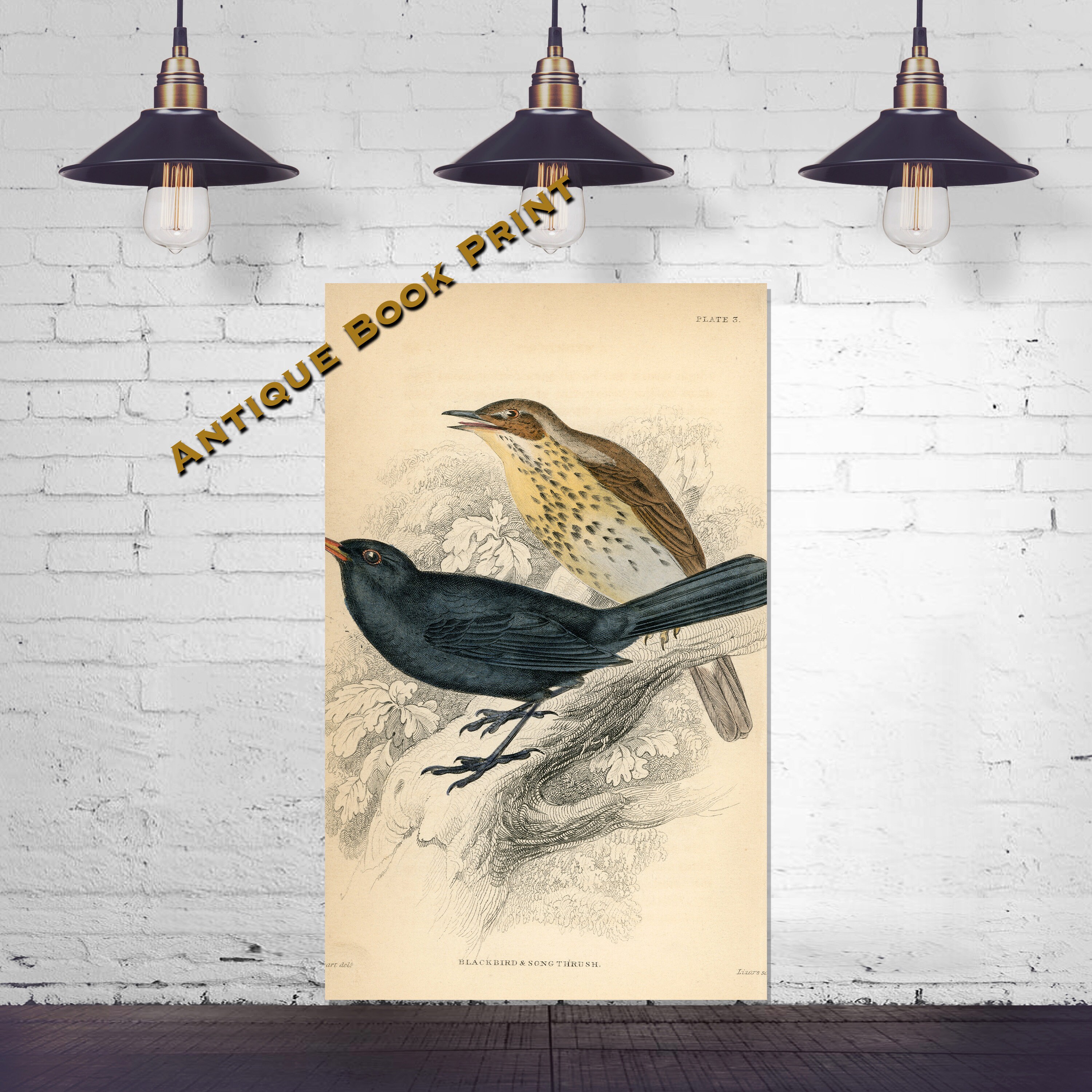 black bird song