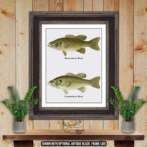 Bass Collage Art Print - Smallmouth Bass Poster - Bass Fisherman Gift - Largemouth Bass Angler Gift - Rustic Fishing Decor - Fish Wall Art