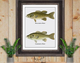 Bass Collage Art Print - Smallmouth Bass Poster - Bass Fisherman Gift - Largemouth Bass Angler Gift - Rustic Fishing Decor - Fish Wall Art