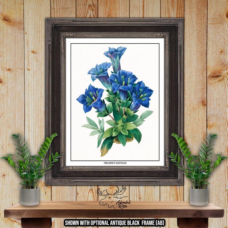 Blue Botanical Prints - Blue Floral Wall Art - Set of 6 Blue Flower ...