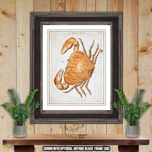 Cancer Constellation Star Map by Sidney Hall Fine Art Astrology Print - Zodiac Gift - Astrology Lover Gift - Celestial Print - Horoscope Art