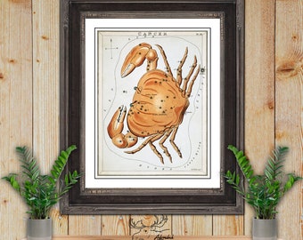 Cancer Constellation Star Map by Sidney Hall Fine Art Astrology Print - Zodiac Gift - Astrology Lover Gift - Celestial Print - Horoscope Art