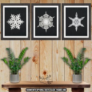 Snowflake Art Print Set of 3 - Christmas Wall Decor - Holiday Prints - Winter Home Decor - Snowflake Posters - Bentley SnowFlakes