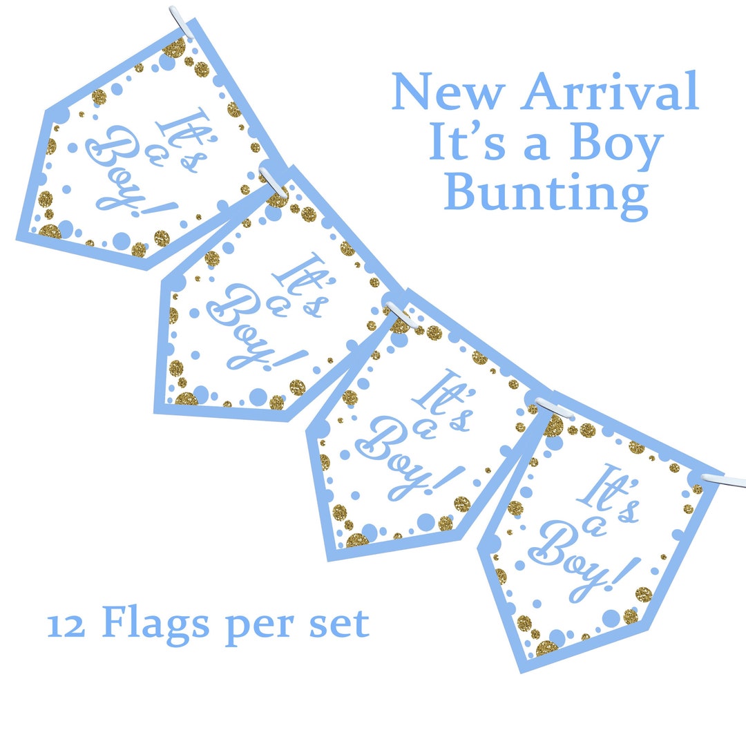 Pink & Blue Its a Boy Its a Girl Baby Shower Boy or Girl Bunting Banner