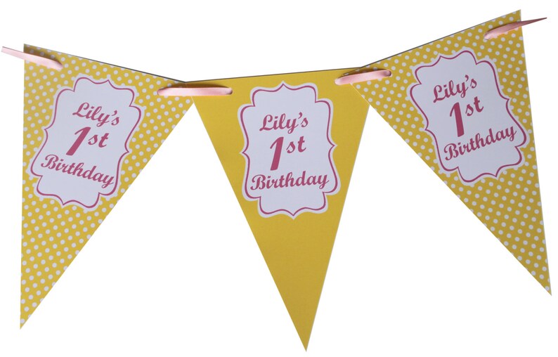 Baby Shower Christening Hen Party Birthday 1st 2nd 3rd 30th 60th Personalised Bunting Banner Party Decoration Shabby Chic