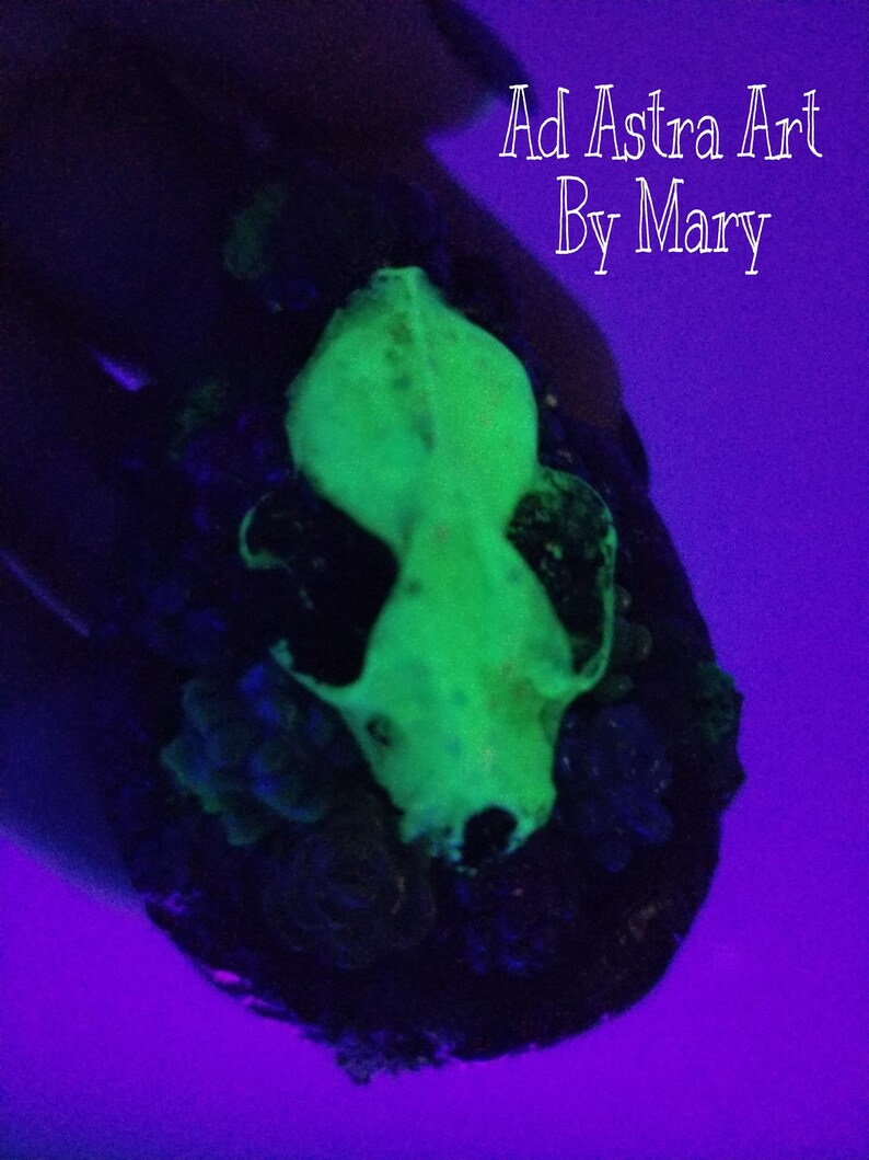 Glow Bat Skull /& Succulent Pendant Necklace