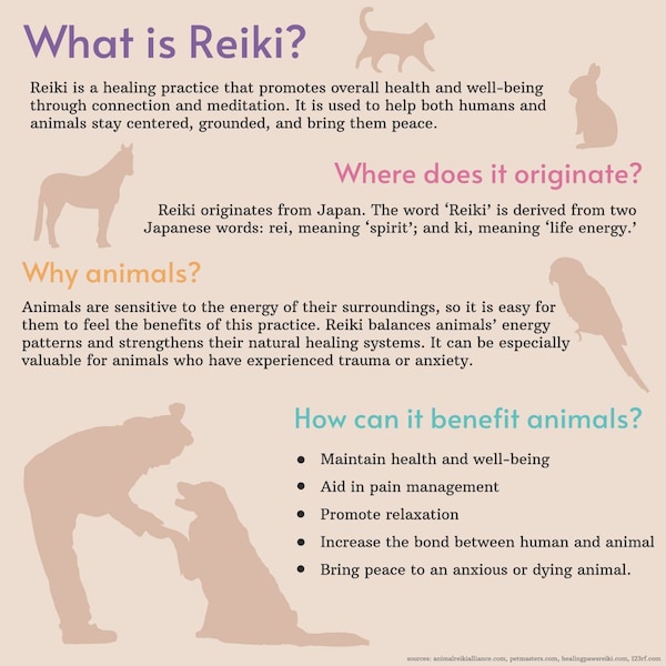 Distance animal reiki healing/ pet energy healing