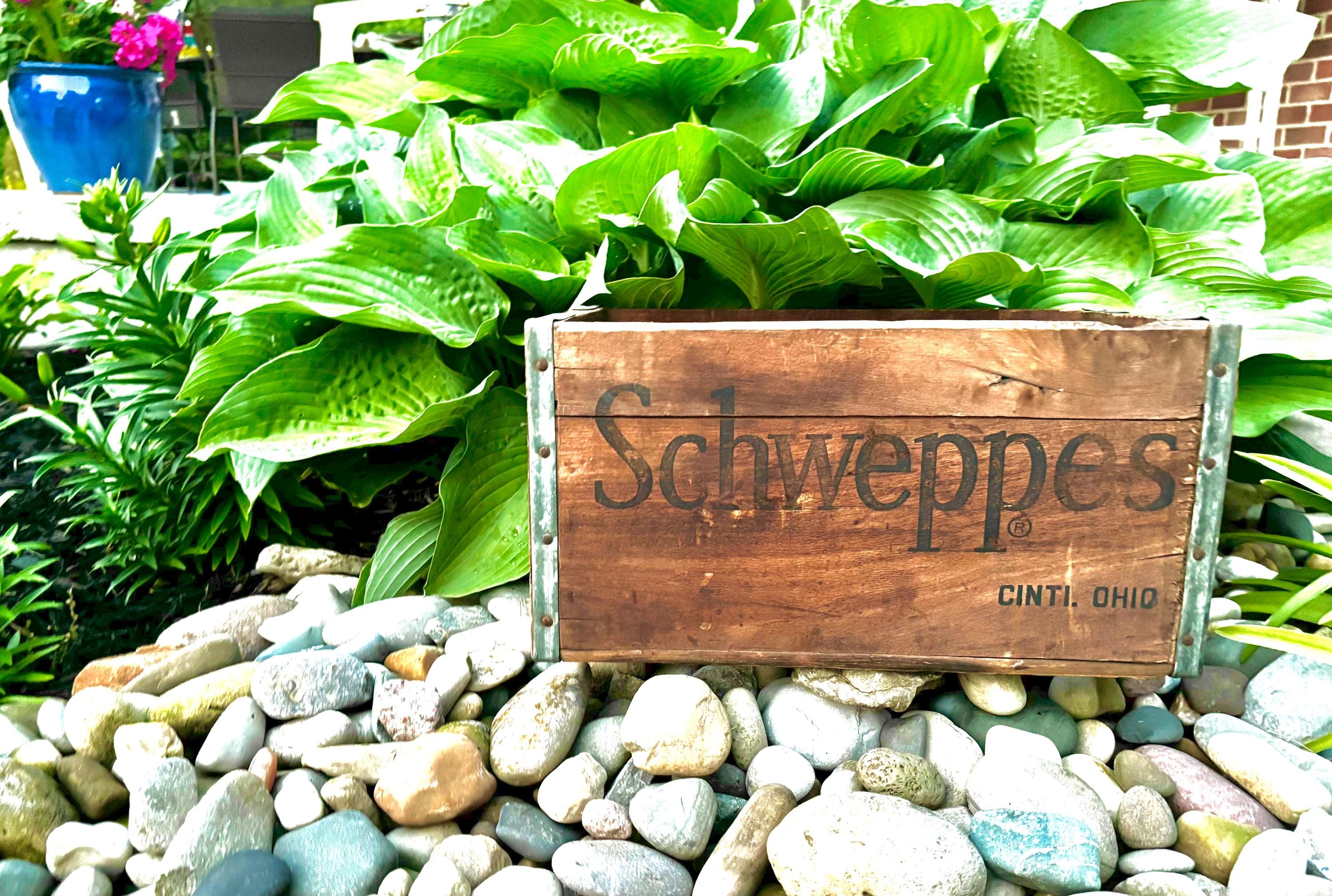 Schweppesのアンティークボトルケース　値下げ Schweppes Crate - Etsy