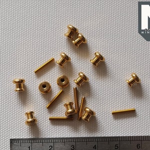 Op de afbeelding: Een verzameling van 14 goudkleurige metalen knoppen en schroeven, verspreid over een wit oppervlak. Een liniaal is inbegrepen voor de schaal, met afmetingen in centimeters en inches.