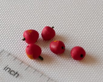 Miniatur Rote Äpfel 1:12 Puppenhaus Obst Set von 5 - E033