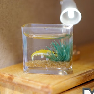 Miniatur-Aquarell, Maßstab 1:12 Fisch im Behälter Versteckt in Algen Puppenhaus Dekoration Goldfischglas - D078