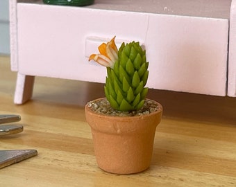 1:12 Miniature Cactus in Round Clay Pot Dollhouse Garden Flowers and Leaves (Short) - F088