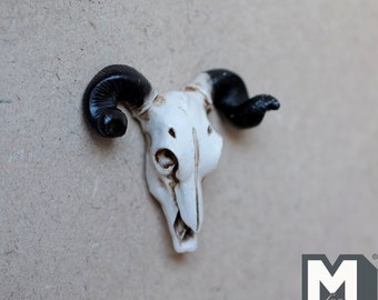 大きな角を持つ羊の頭蓋骨のレプリカ。ジオラマ、アクションフィギュア
