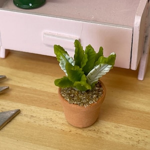 1:12 Miniature Cactus in Round Clay Pot Dollhouse Supplies Garden Flowers and Leaves (Short) - F088
