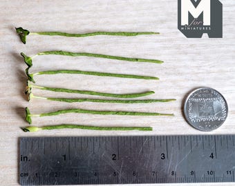 1/12スケール ミニチュア 斑点模様のハート型葉植物の茎、7本セット、長さ最大2-3/4インチ、DIYドールハウス用品