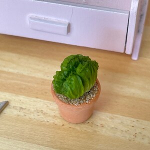 1:12 Miniature Cactus in Round Clay Pot Dollhouse Supplies Garden Flowers and Leaves (Short) -  F088