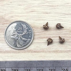 May include: Four small, bronze-colored metal studs with a textured, fan-like shape. A Canadian 25-cent coin is positioned to the left for scale, and a metal ruler is visible at the bottom, showing measurements in centimeters and inches.