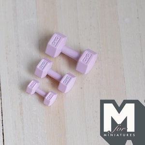 Miniature Hexagon Hand Weights 1:12 Scale Dollhouse Dumbbells Lifting Weights Set of 3 (metal) (pink) - G063