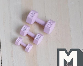 Miniatur Hexagon Handgewichte 1:12 Puppenhaus Zubehör Hanteln Hebegewichte 3er Set (rosa) - G063