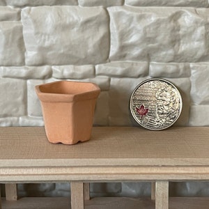 May include: A small terracotta hexagonal planter pot, approximately 5 cm in diameter, sits on a wooden surface next to a Canadian coin.