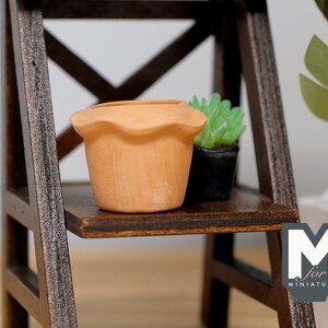 May include: A miniature wooden ladder shelf with two shelves. The top shelf has a small terracotta pot with a ruffled rim and a green plant. The bottom shelf is empty. The ladder is brown and the shelves are dark brown.