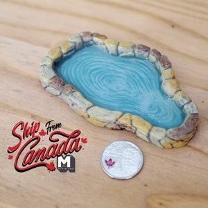 以下が含まれることがあります： 青い水面と石の縁取りのあるミニチュア池。池はカナダの25セント硬貨と同じくらいの大きさです。