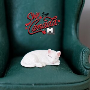 1:12 Dollhouse miniature white sleeping cat kitten 1 12th sleeping animal - C048