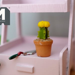 1:12 Miniature Cactus in Round Clay Pot Dollhouse Supplies Garden Flowers and Leaves (Short) - F085