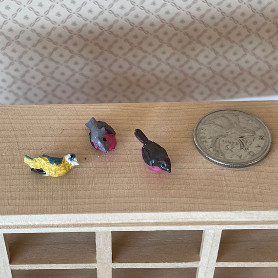Tiny Sweet Parrot Cacatua in miniatura Casa delle bambole