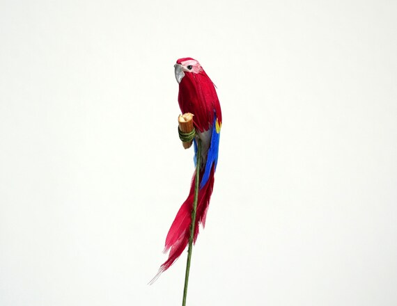 Dolls House 1/12 SCALA Red Macaw Parrot 