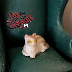 1:12 Dollhouse Miniature cat kitten 1 12th pet C048